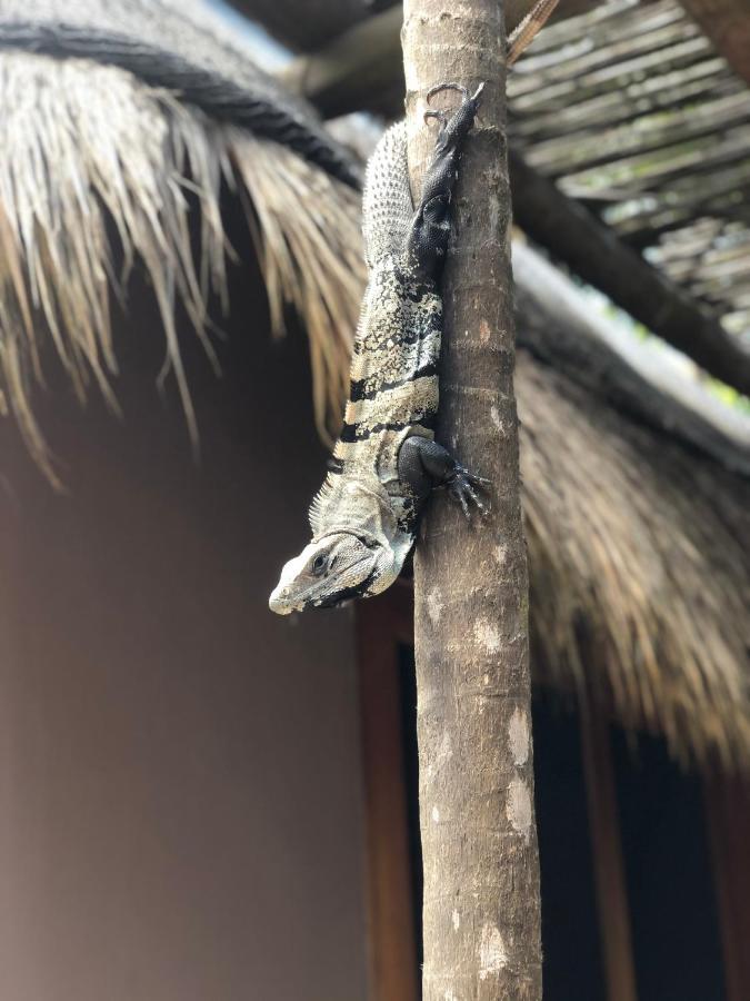 Casa Nalum Hébergement de vacances *